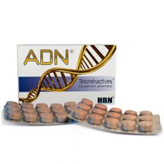 ADN Téloméractives