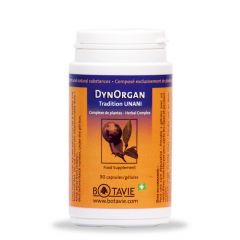 DynOrgan