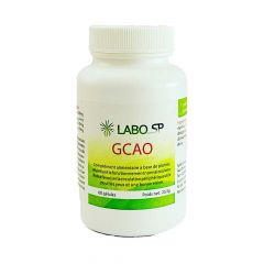 GCAO