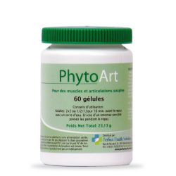 PhytoArt
