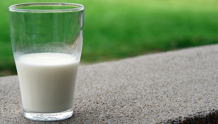 Tout savoir sur les laits végétaux et leurs bienfaits